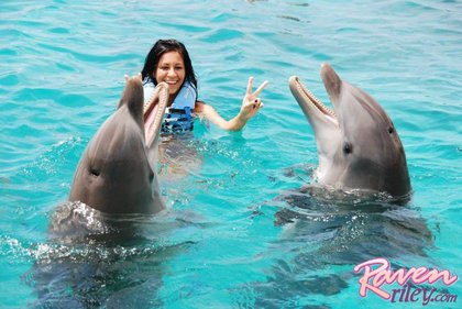 raven riley dolphins