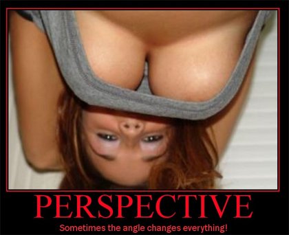 perspective-tit-demotivational-poster
